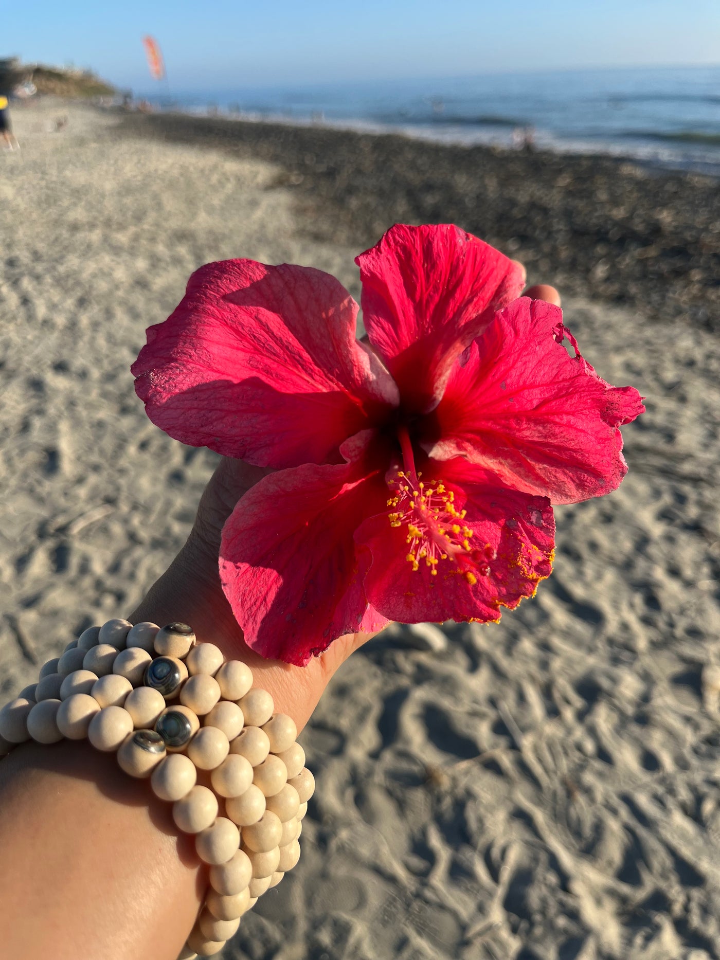 PĀUA MALA For Maui - Abalone Shell and Whitewood Unisex Stretch Bracelet